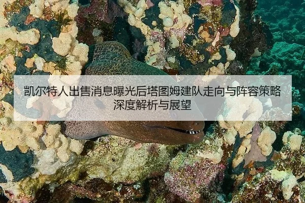 kai-er-te-ren-chu-shou-xiao-xi-bao-guang-hou-ta-tu-mu-jian-dui-zou-xiang-yu-zhen-rong-ce-lve-shen-du-jie-xi-yu-zhan-wang-1-306.jpg